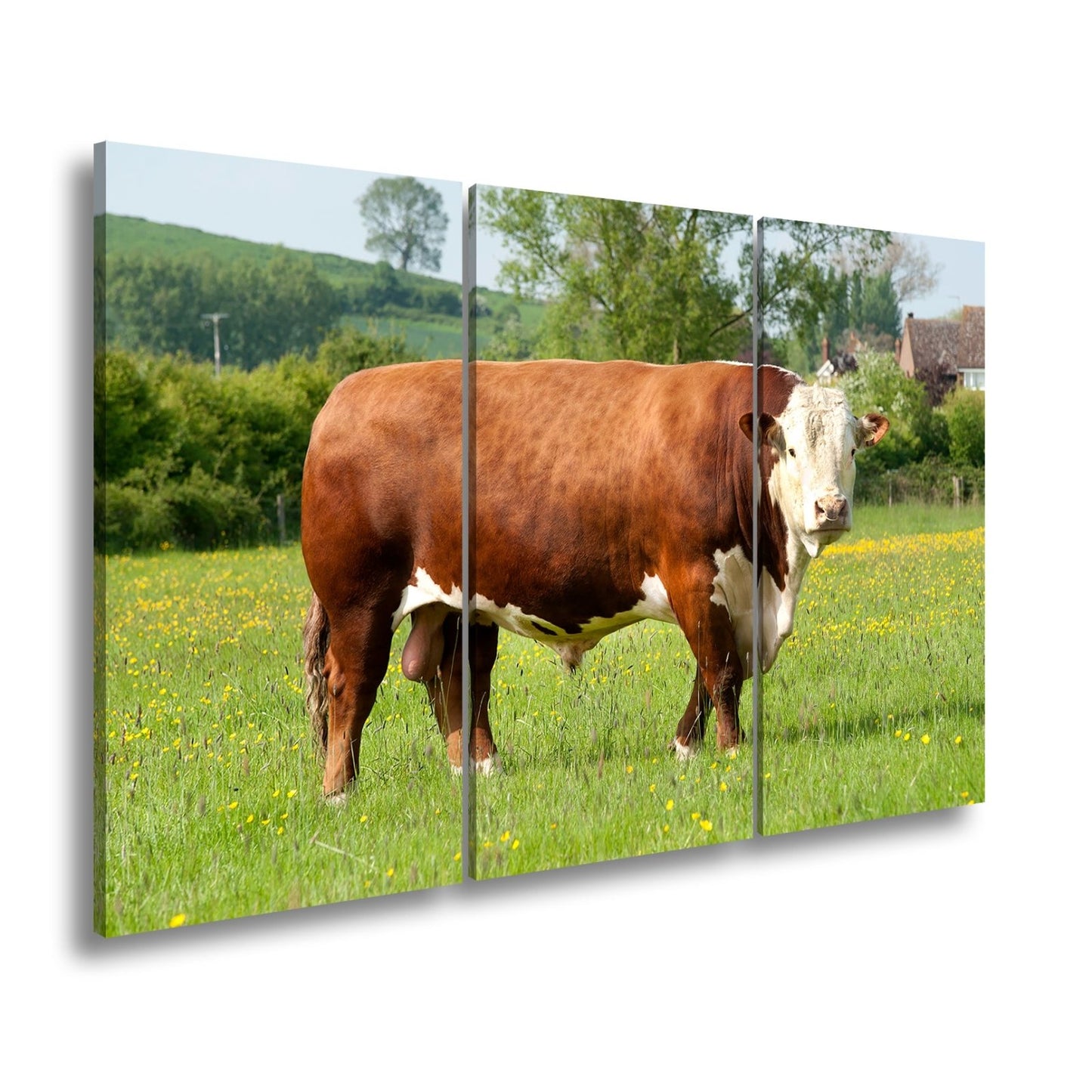 Leinwandbild Kuh XXL – Stolz auf Blumenwiese mit direktem Blick - deyoli