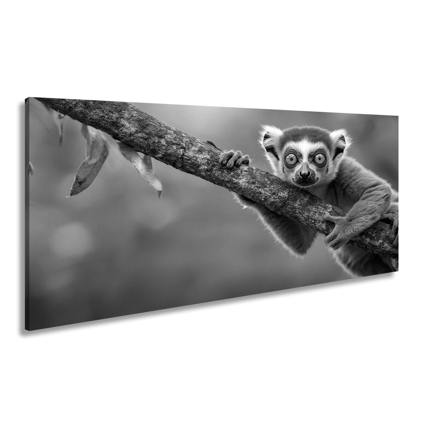 Leinwandbild Kulleräugiger Lemur – Klammert sich neugierig an Ast XXL - deyoli