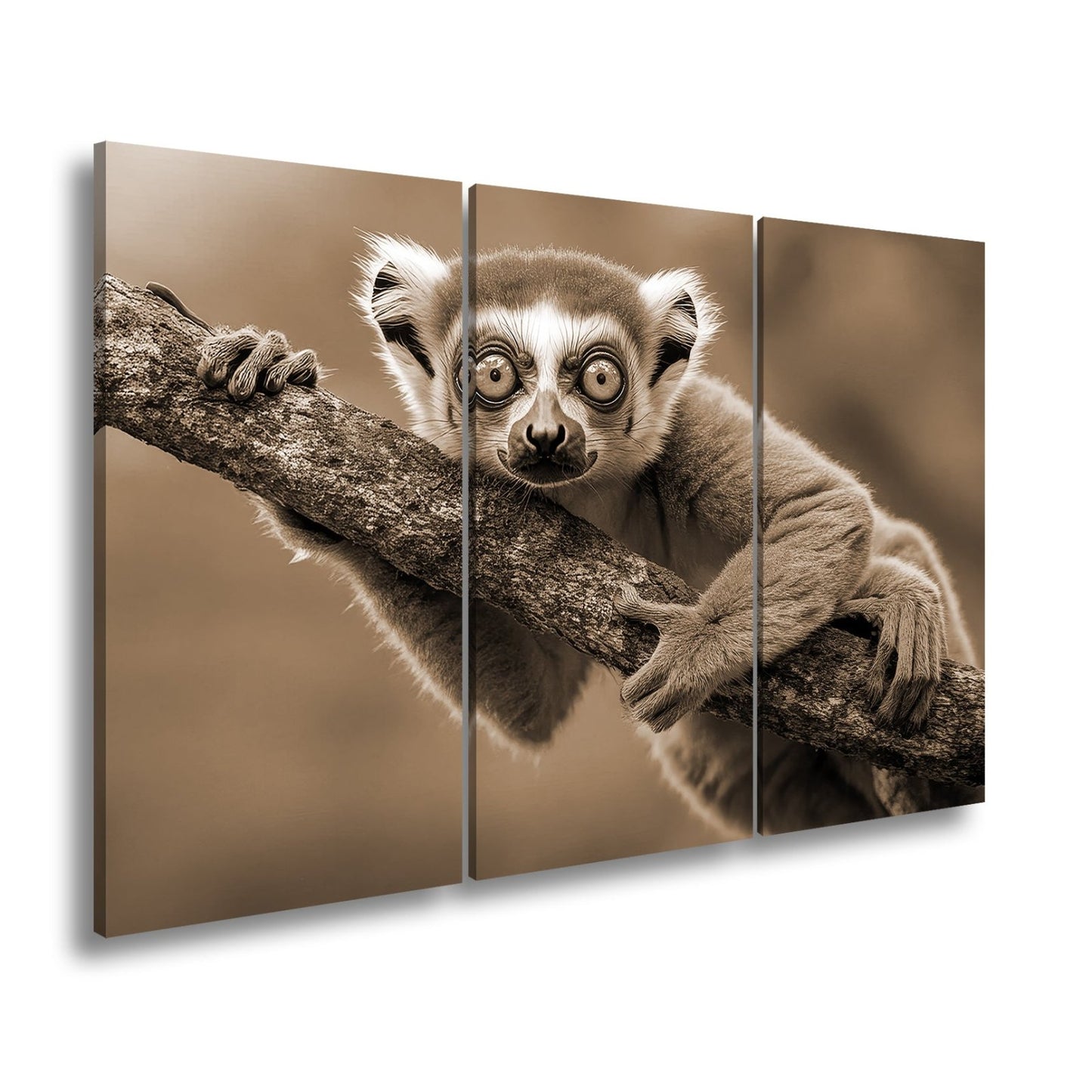 Leinwandbild Kulleräugiger Lemur – Klammert sich neugierig an Ast XXL - deyoli