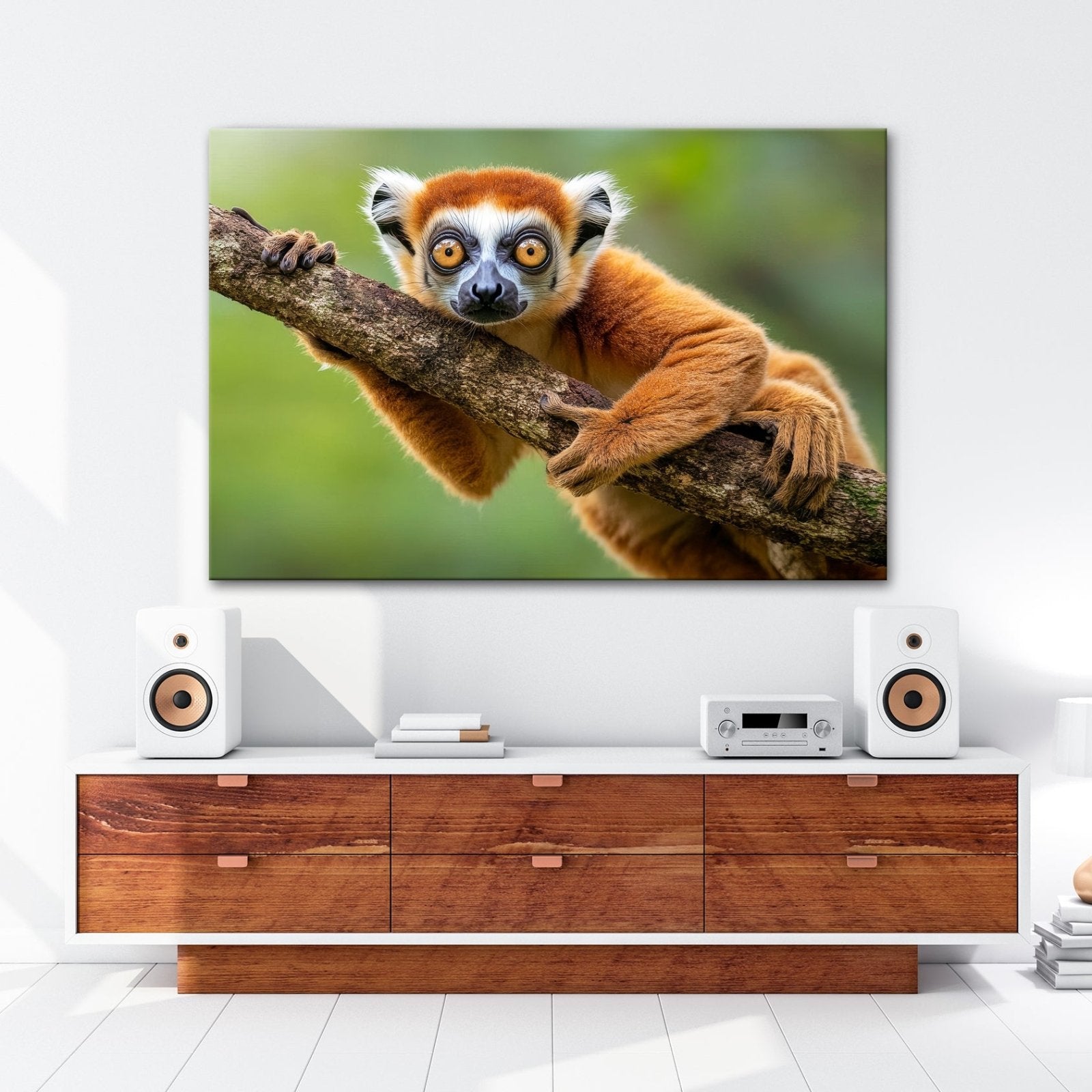 Leinwandbild Kulleräugiger Lemur – Klammert sich neugierig an Ast XXL - deyoli