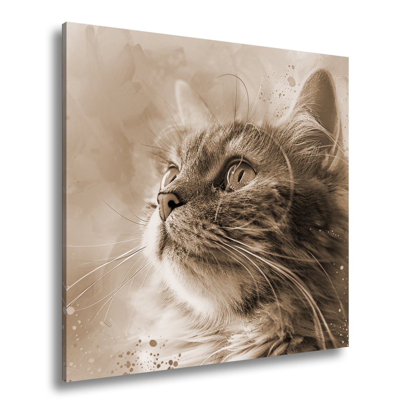Leinwandbild Kunst und Katze – ein Blick, getaucht in Farben und Fantasie - deyoli