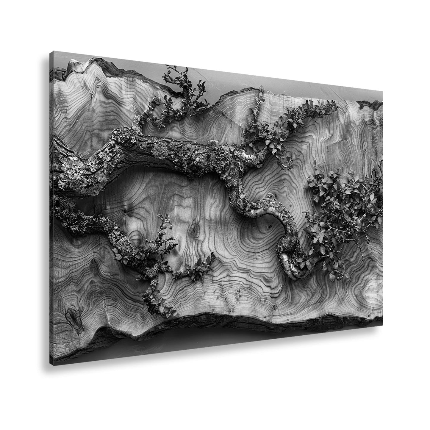 Leinwandbild Kunstvoller Ast auf edlem Holz – Natur als Gemälde. - deyoli