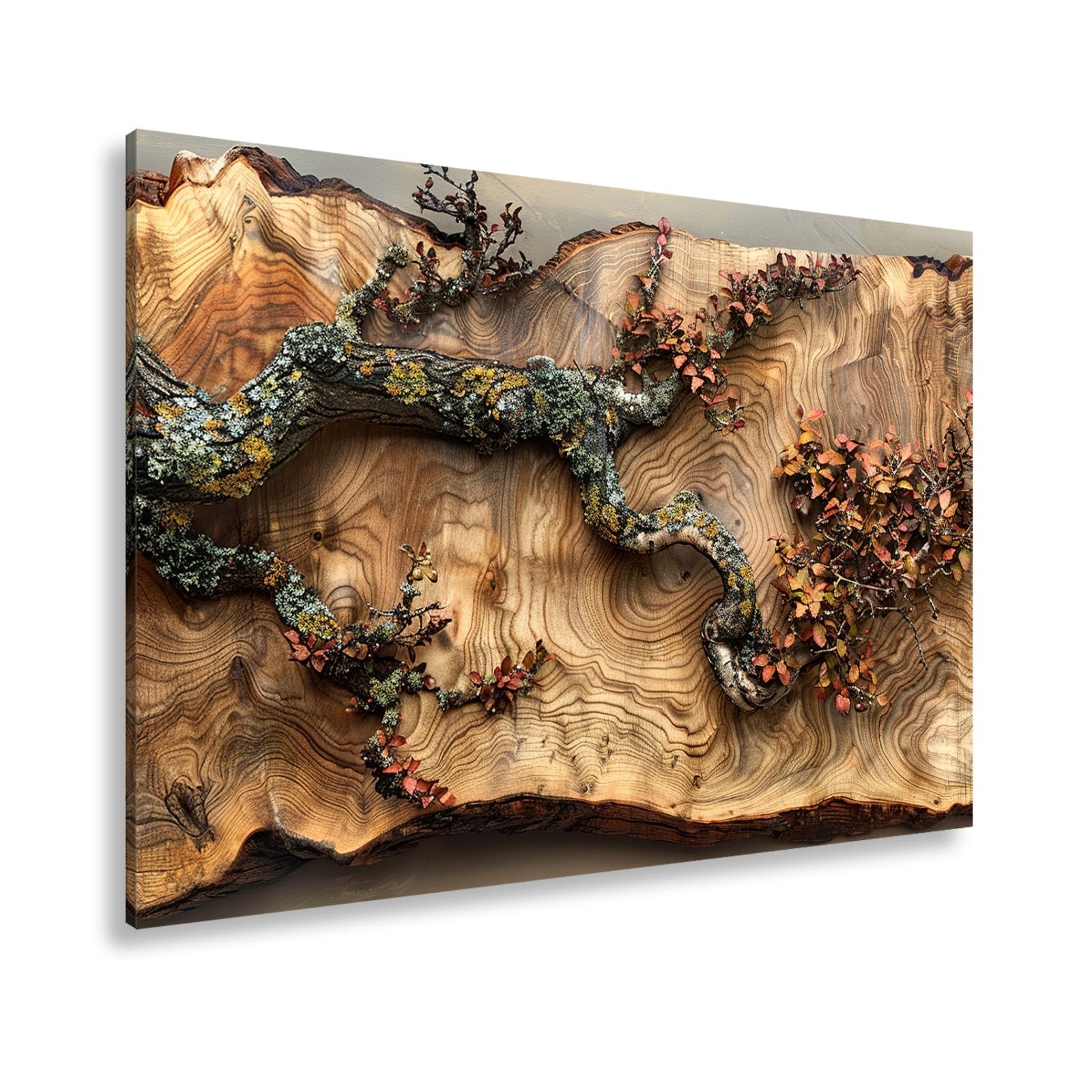 Leinwandbild Kunstvoller Ast auf edlem Holz – Natur als Gemälde. - deyoli