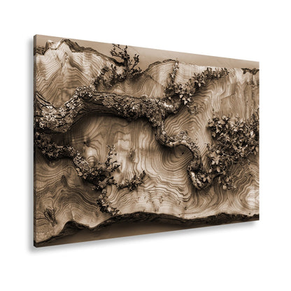 Leinwandbild Kunstvoller Ast auf edlem Holz – Natur als Gemälde. - deyoli
