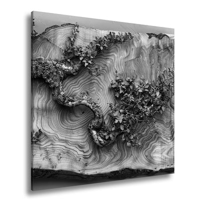 Leinwandbild Kunstvoller Ast auf edlem Holz – Natur als Gemälde. - deyoli