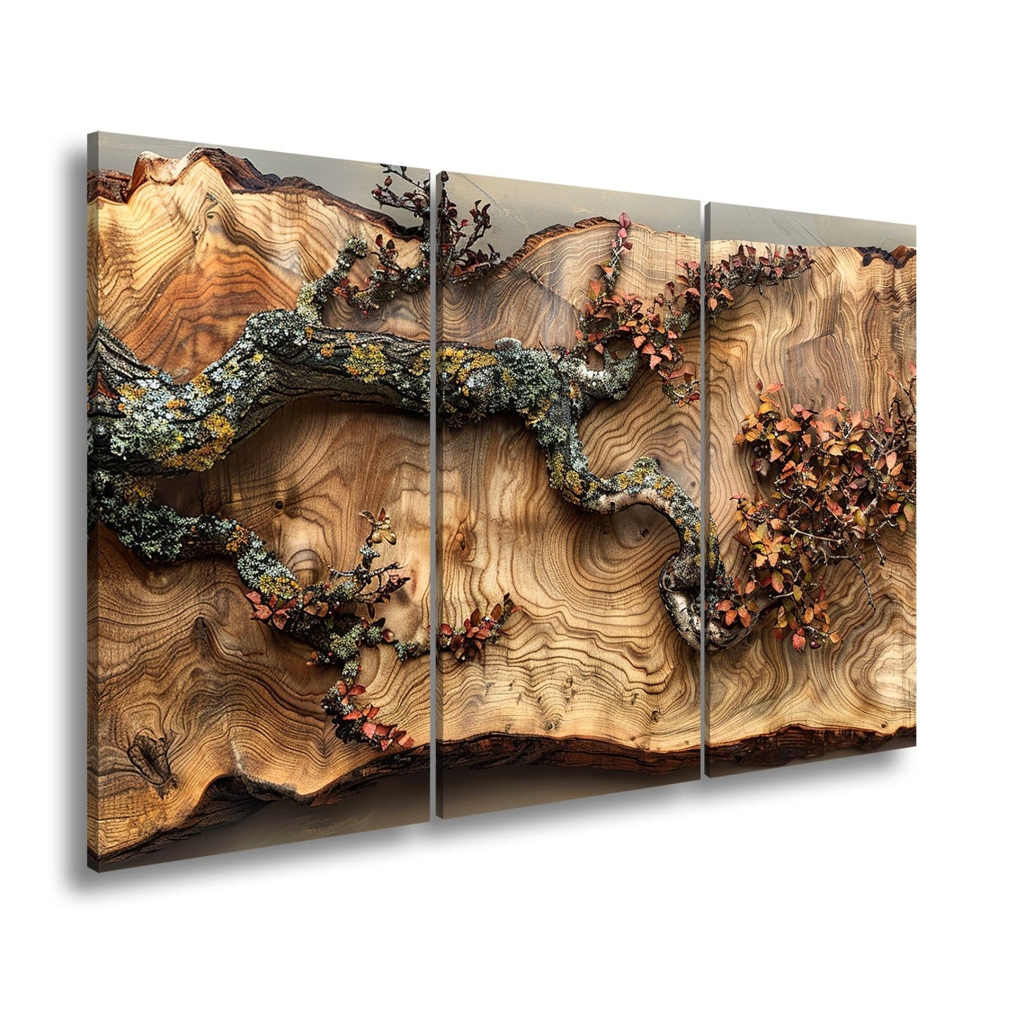 Leinwandbild Kunstvoller Ast auf edlem Holz – Natur als Gemälde. - deyoli