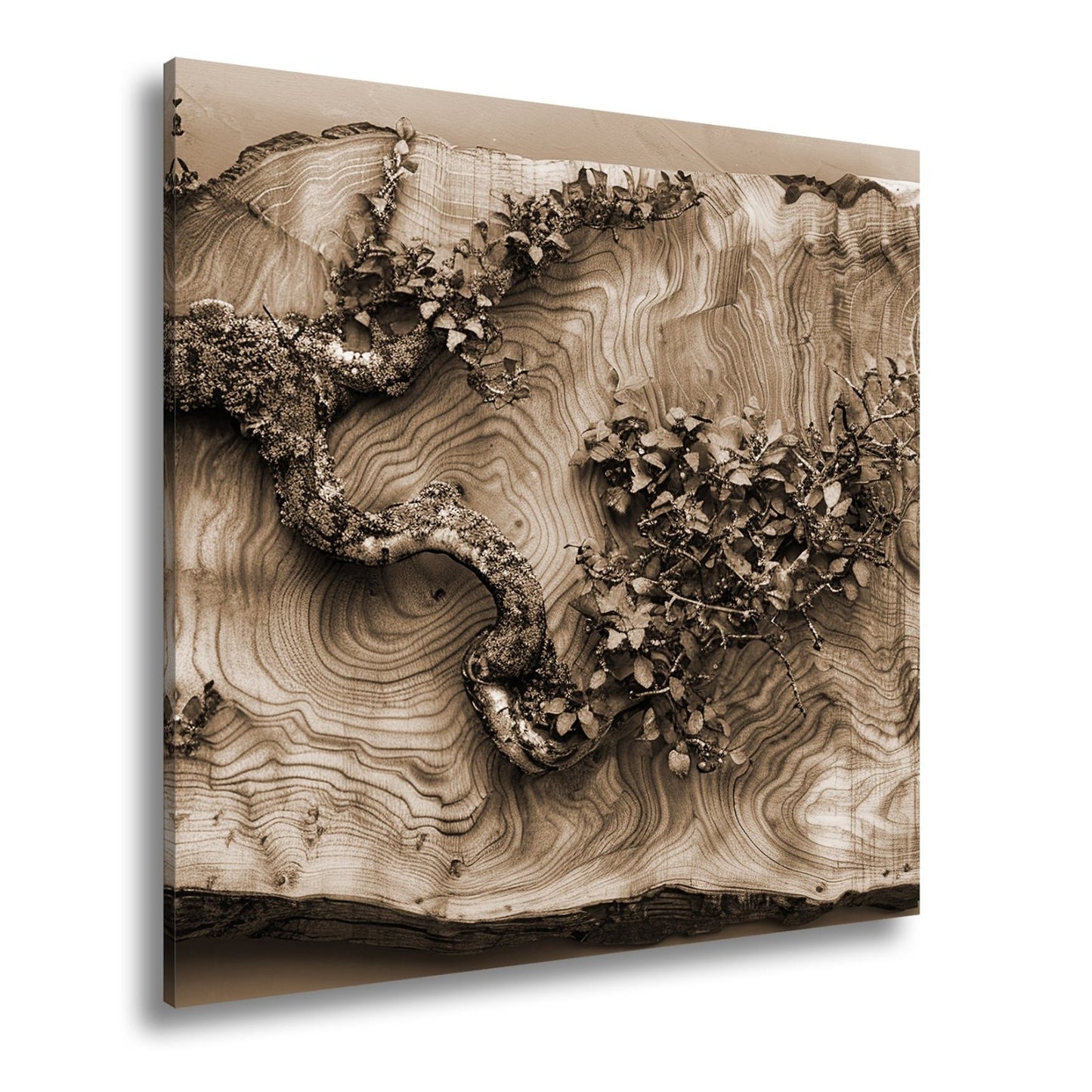 Leinwandbild Kunstvoller Ast auf edlem Holz – Natur als Gemälde. - deyoli