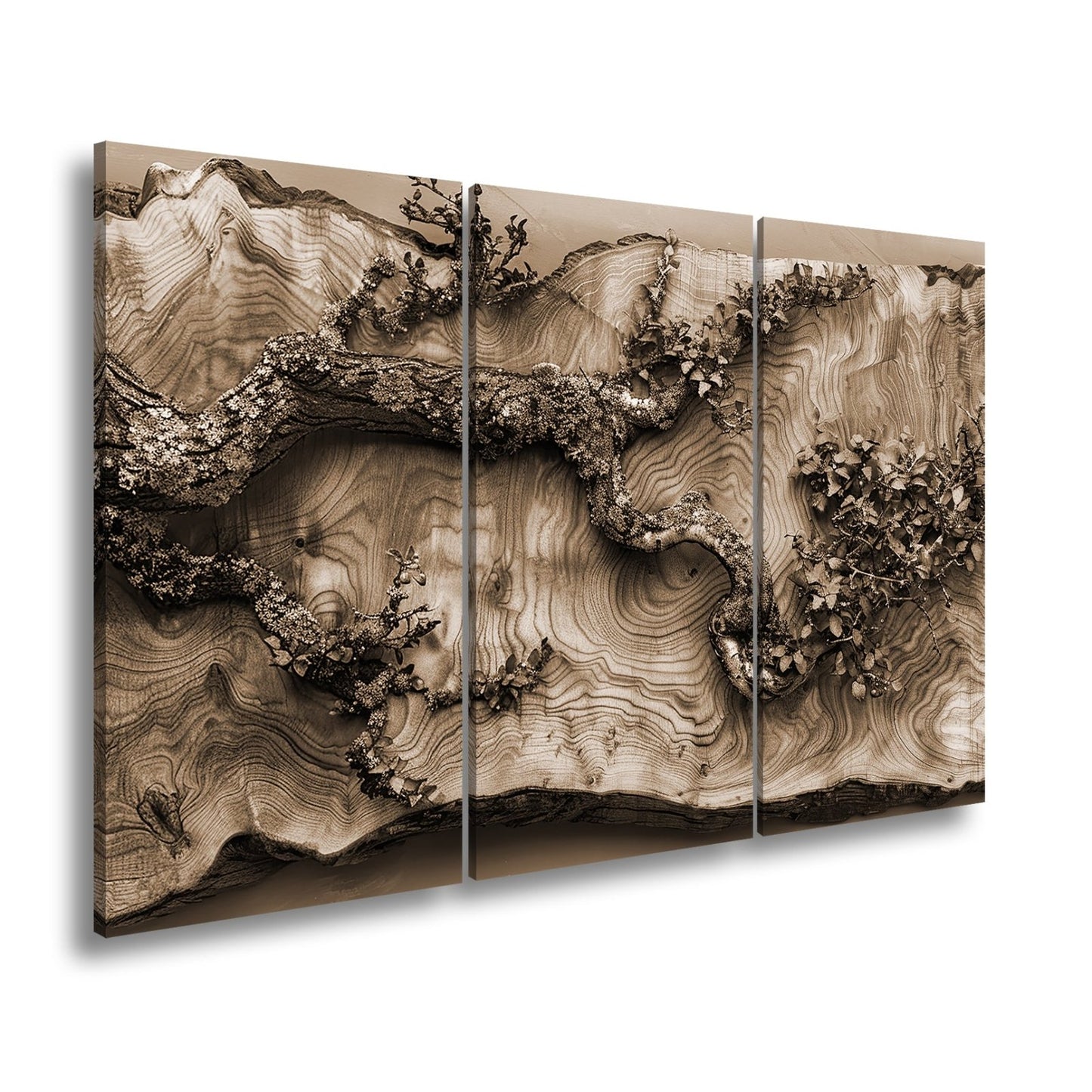 Leinwandbild Kunstvoller Ast auf edlem Holz – Natur als Gemälde. - deyoli