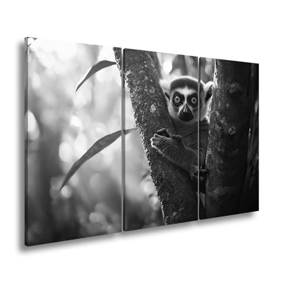 Leinwandbild Lemur mit großen Augen im warmen Dschungellicht - deyoli