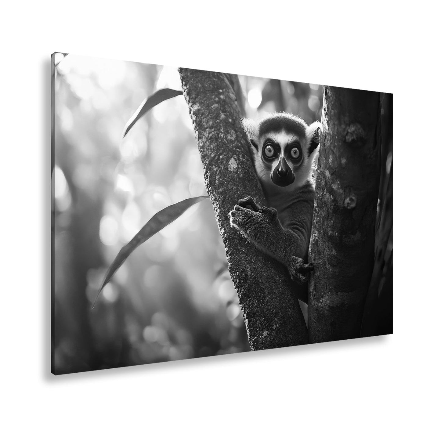 Leinwandbild Lemur mit großen Augen im warmen Dschungellicht - deyoli