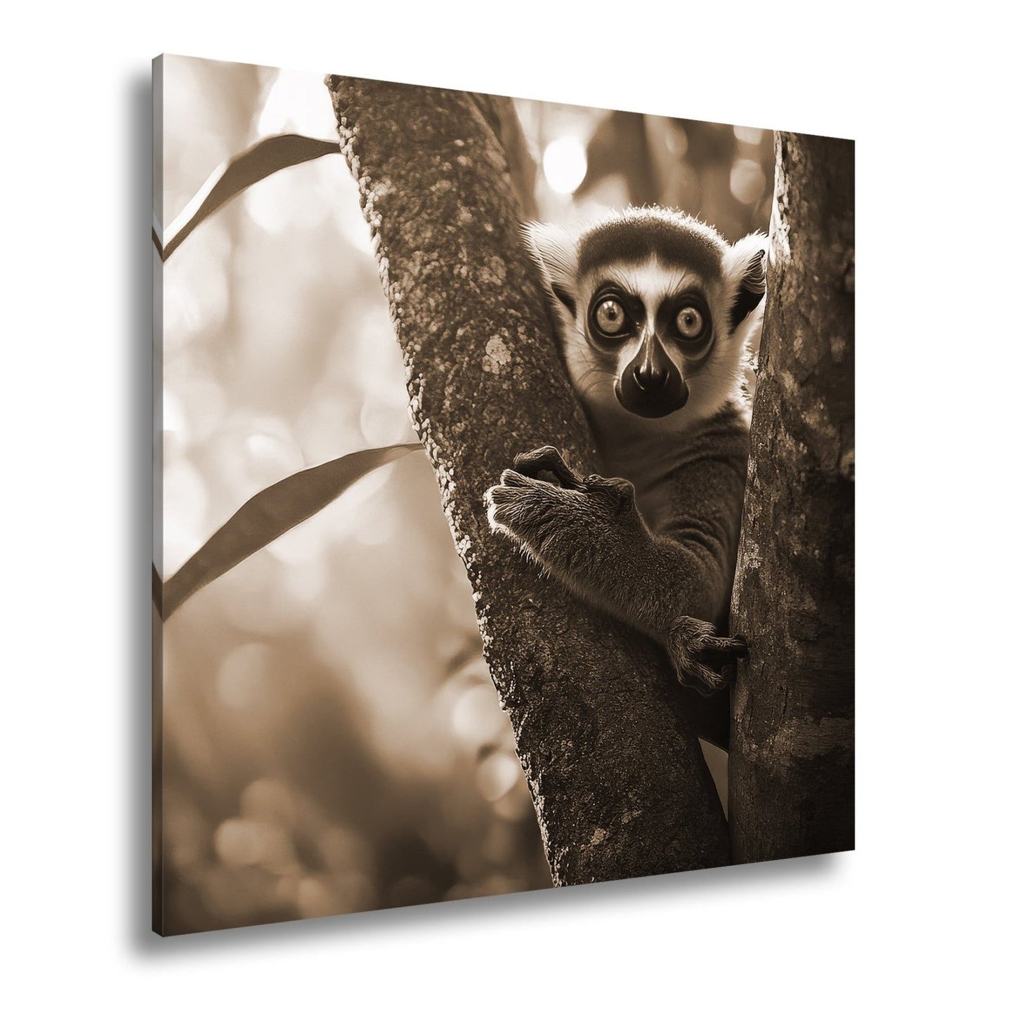Leinwandbild Lemur mit großen Augen im warmen Dschungellicht - deyoli