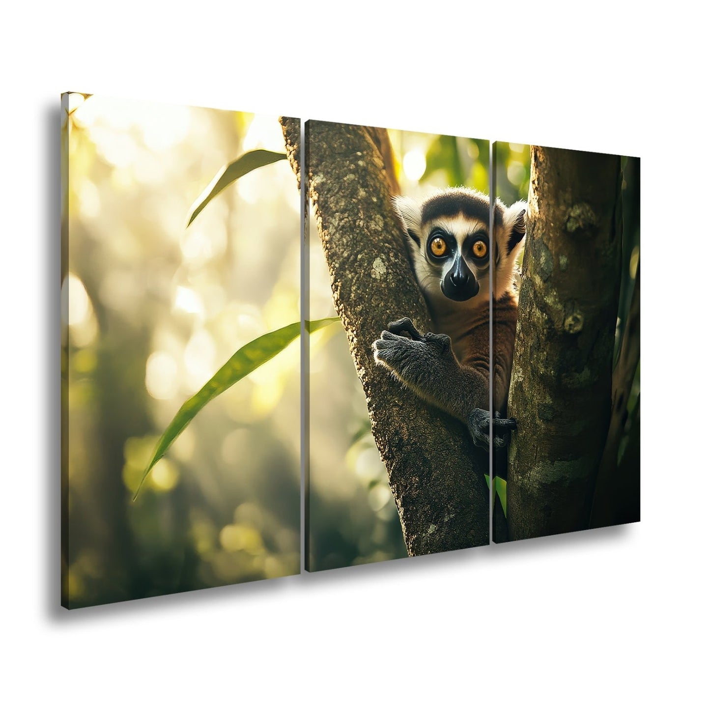 Leinwandbild Lemur mit großen Augen im warmen Dschungellicht - deyoli