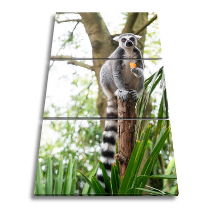 Leinwandbild Lemur thront gelassen mit Snack im tropischen Grün - deyoli