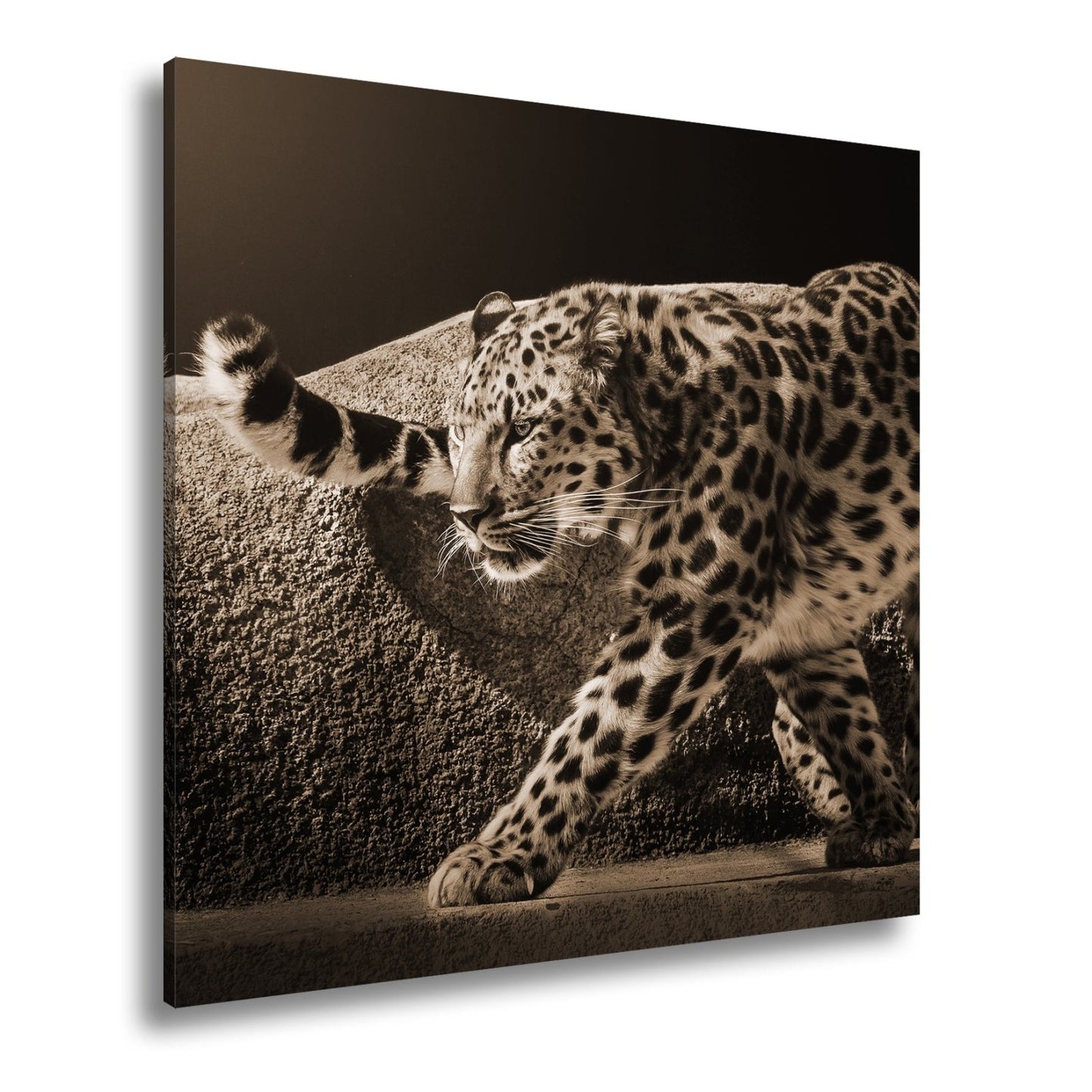 Leinwandbild Leopard auf leisen Pfoten – Spiel aus Licht & Schatten XXL - deyoli