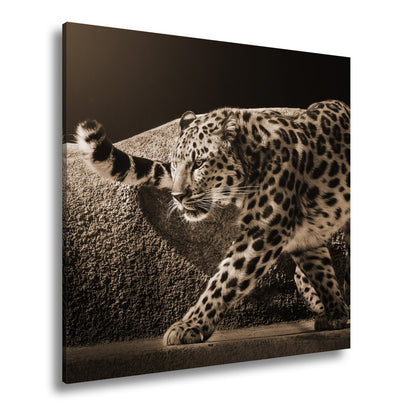 Leinwandbild Leopard auf leisen Pfoten – Spiel aus Licht & Schatten XXL - deyoli