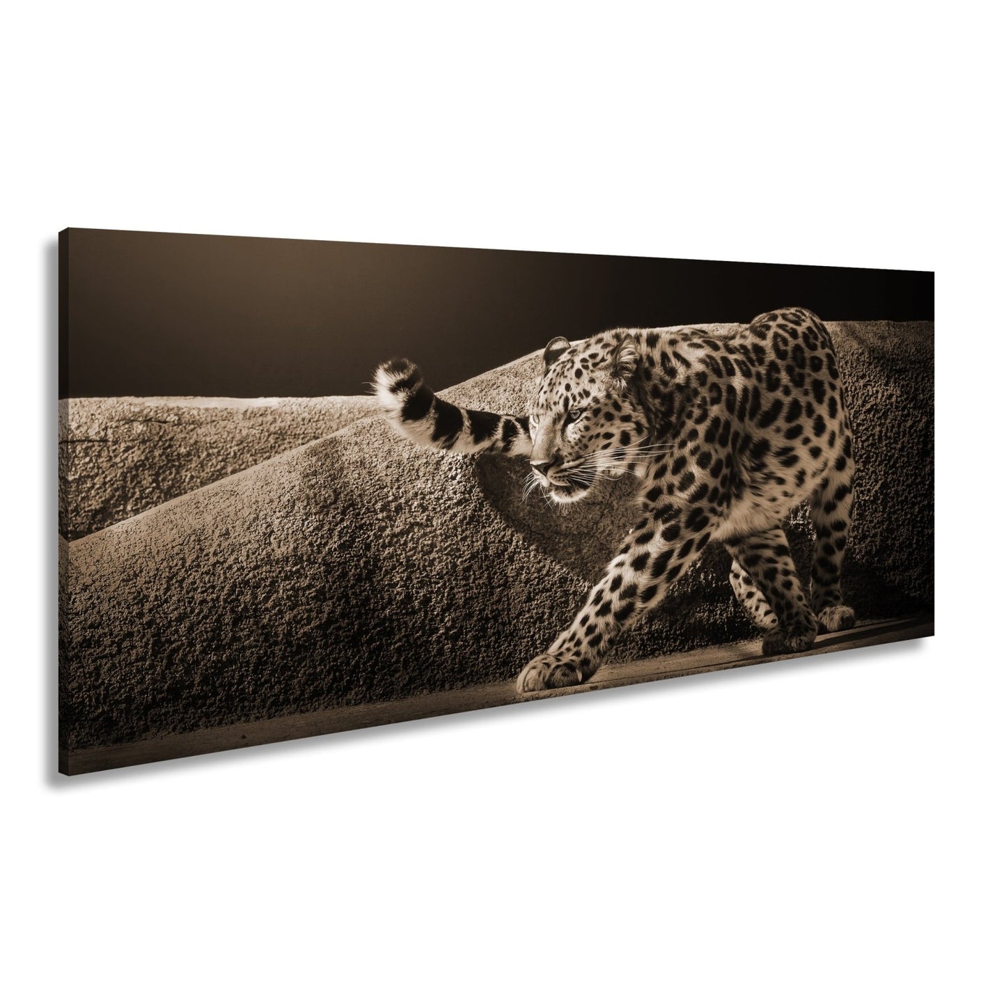 Leinwandbild Leopard auf leisen Pfoten – Spiel aus Licht & Schatten XXL - deyoli