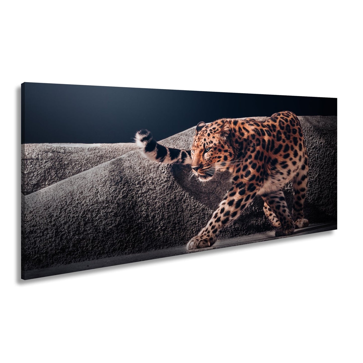 Leinwandbild Leopard auf leisen Pfoten – Spiel aus Licht & Schatten XXL - deyoli