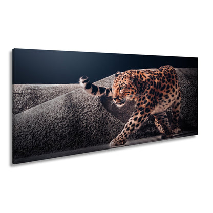 Leinwandbild Leopard auf leisen Pfoten – Spiel aus Licht & Schatten XXL - deyoli