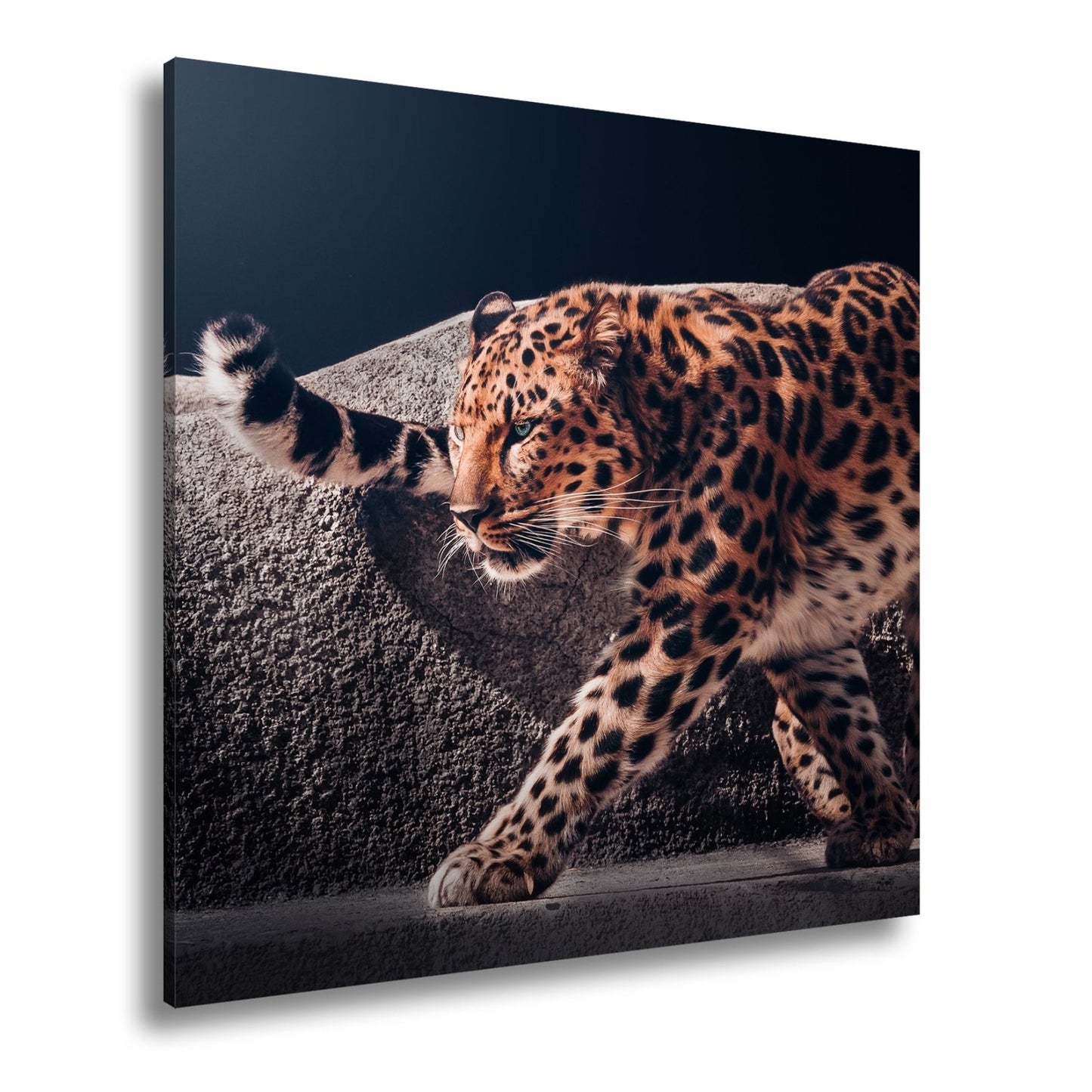 Leinwandbild Leopard auf leisen Pfoten – Spiel aus Licht & Schatten XXL - deyoli