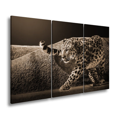 Leinwandbild Leopard auf leisen Pfoten – Spiel aus Licht & Schatten XXL - deyoli