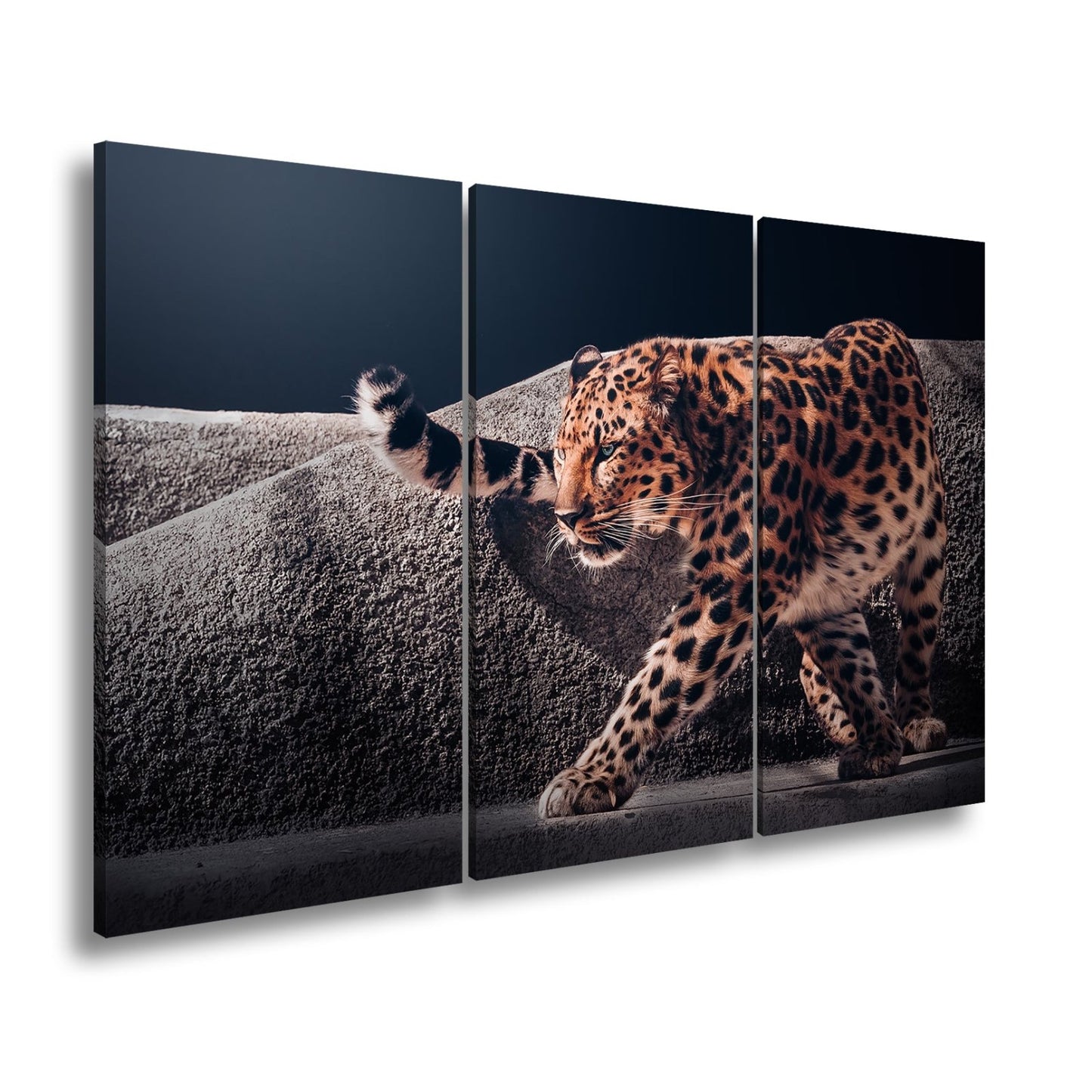 Leinwandbild Leopard auf leisen Pfoten – Spiel aus Licht & Schatten XXL - deyoli