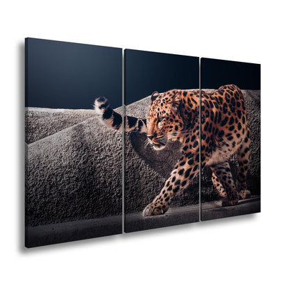 Leinwandbild Leopard auf leisen Pfoten – Spiel aus Licht & Schatten XXL - deyoli