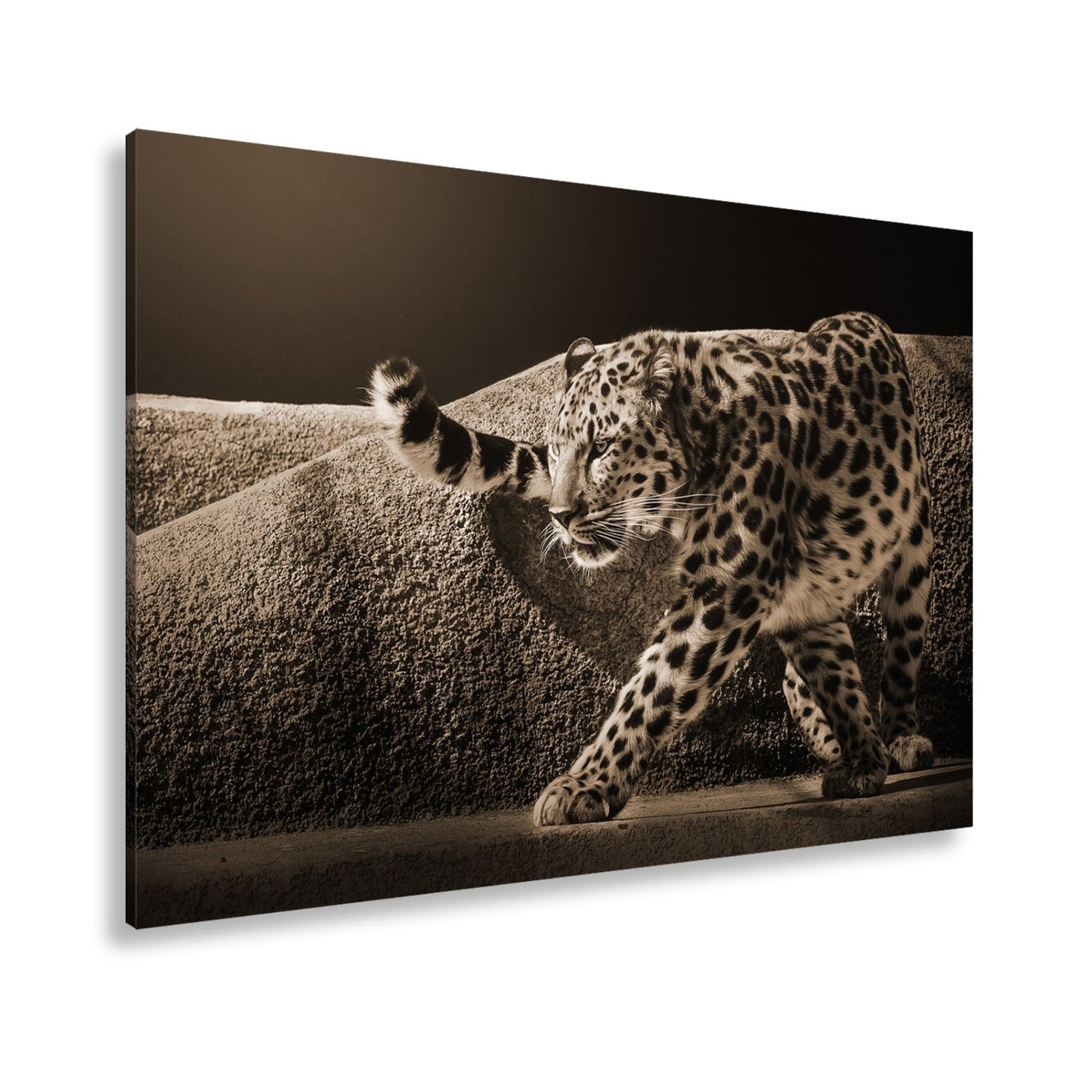Leinwandbild Leopard auf leisen Pfoten – Spiel aus Licht & Schatten XXL - deyoli