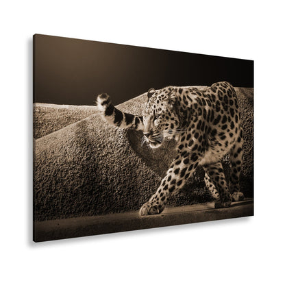 Leinwandbild Leopard auf leisen Pfoten – Spiel aus Licht & Schatten XXL - deyoli