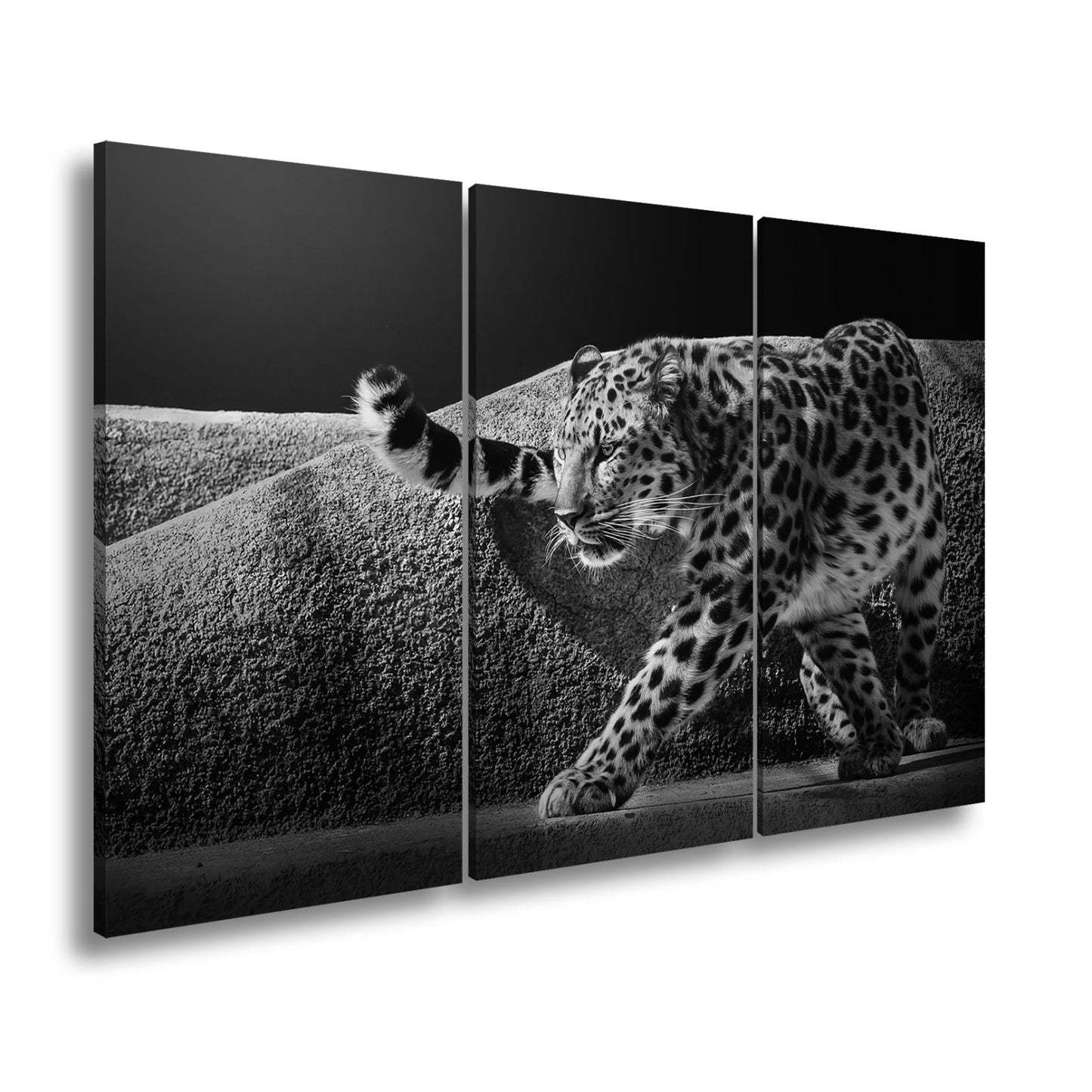 Leinwandbild Leopard auf leisen Pfoten – Spiel aus Licht & Schatten XXL - deyoli