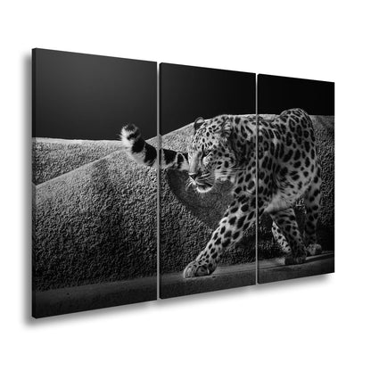 Leinwandbild Leopard auf leisen Pfoten – Spiel aus Licht & Schatten XXL - deyoli