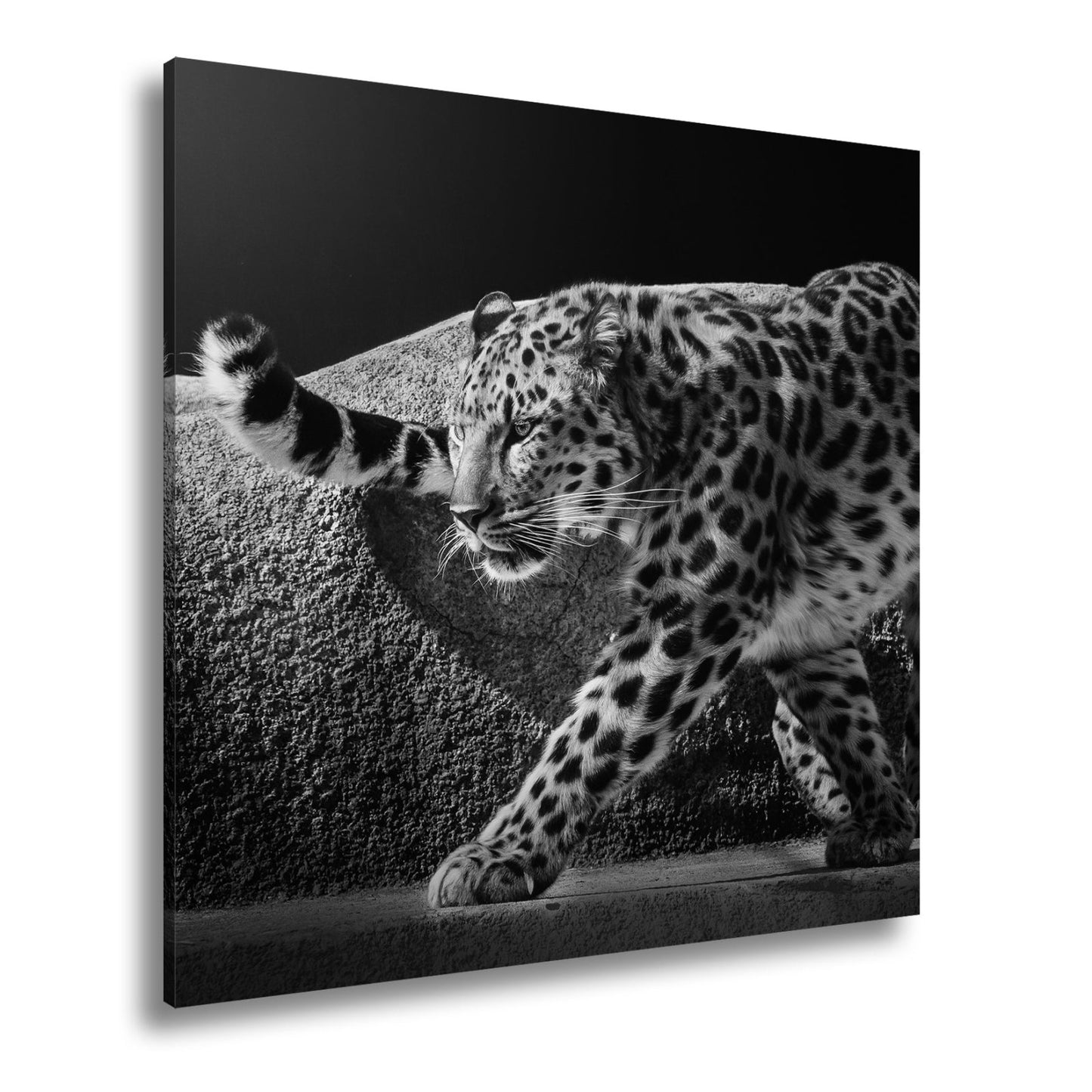 Leinwandbild Leopard auf leisen Pfoten – Spiel aus Licht & Schatten XXL - deyoli