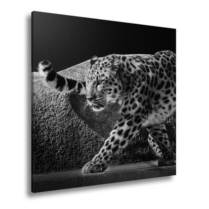 Leinwandbild Leopard auf leisen Pfoten – Spiel aus Licht & Schatten XXL - deyoli
