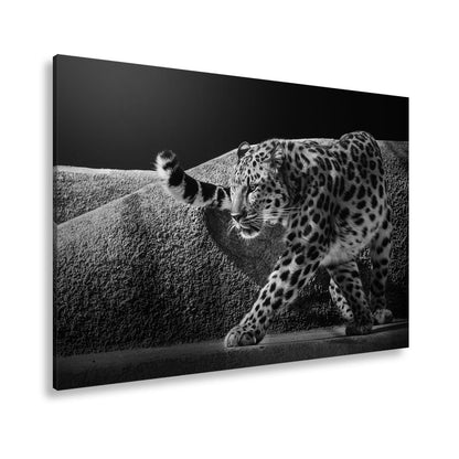 Leinwandbild Leopard auf leisen Pfoten – Spiel aus Licht & Schatten XXL - deyoli