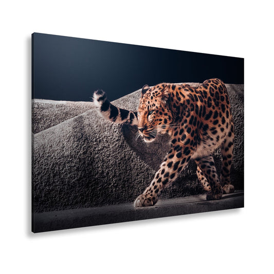 Leinwandbild Leopard auf leisen Pfoten – Spiel aus Licht & Schatten XXL - deyoli