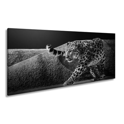 Leinwandbild Leopard auf leisen Pfoten – Spiel aus Licht & Schatten XXL - deyoli