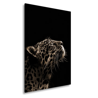 Leinwandbild Leopard im Licht – Stärke in stiller Kontur. - deyoli