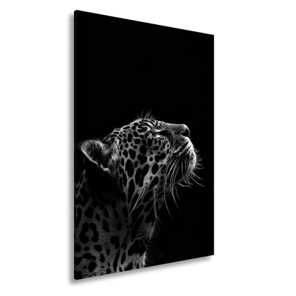 Leinwandbild Leopard im Licht – Stärke in stiller Kontur. - deyoli