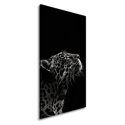 Leinwandbild Leopard im Licht – Stärke in stiller Kontur. - deyoli