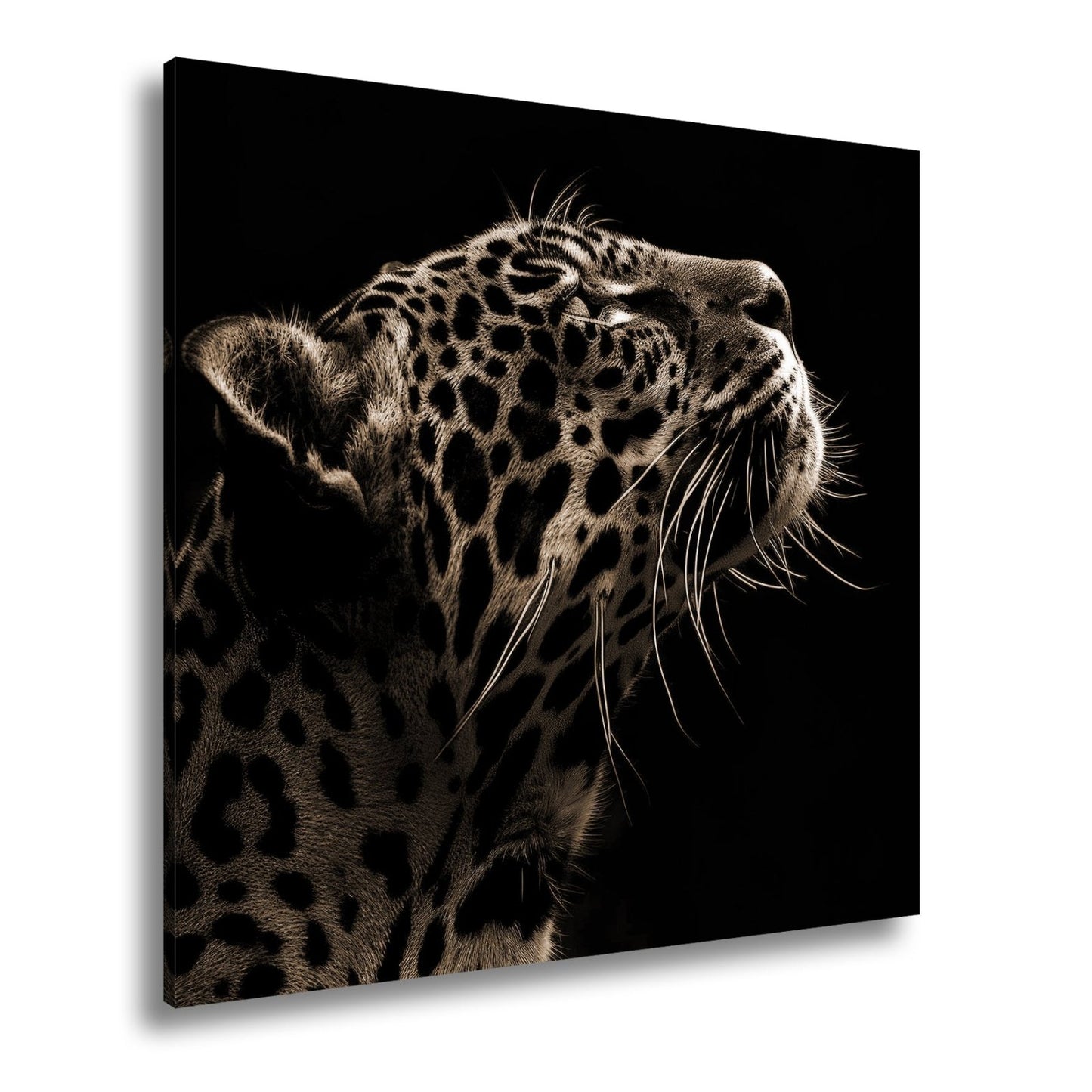 Leinwandbild Leopard im Licht – Stärke in stiller Kontur. - deyoli