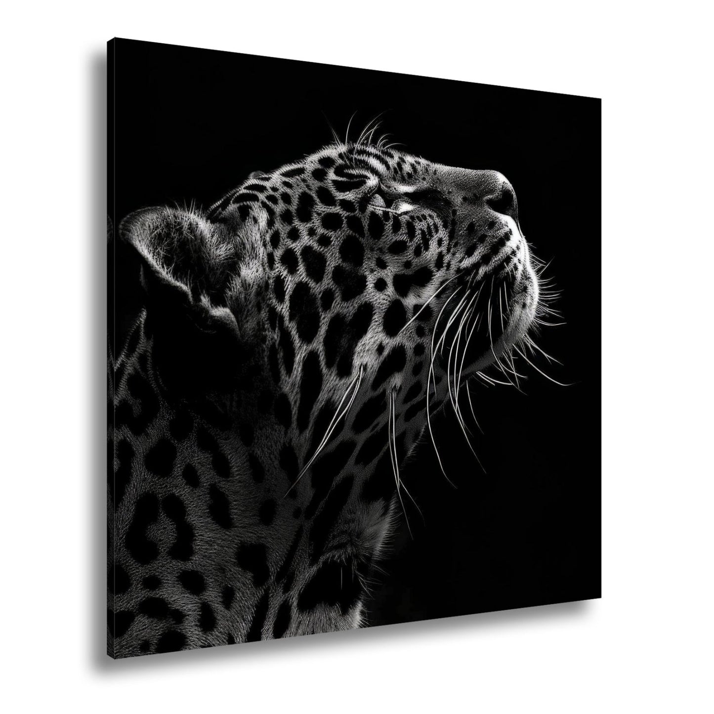 Leinwandbild Leopard im Licht – Stärke in stiller Kontur. - deyoli