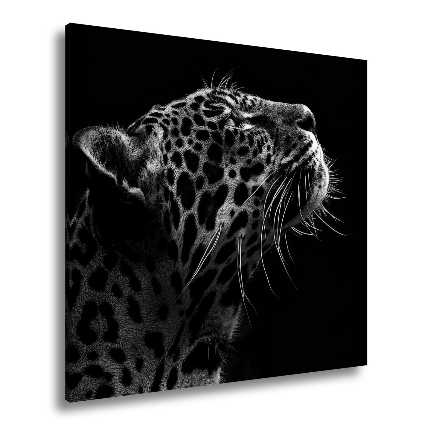 Leinwandbild Leopard im Licht – Stärke in stiller Kontur. - deyoli