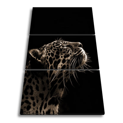 Leinwandbild Leopard im Licht – Stärke in stiller Kontur. - deyoli