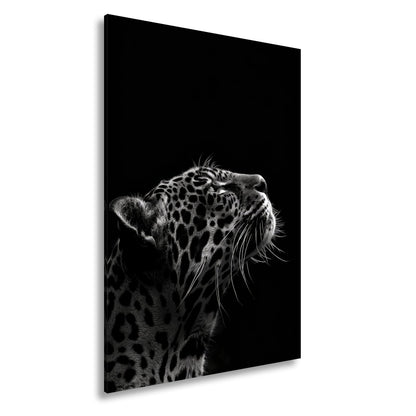 Leinwandbild Leopard im Licht – Stärke in stiller Kontur. - deyoli