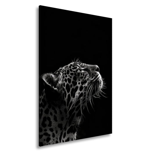 Leinwandbild Leopard im Licht – Stärke in stiller Kontur. - deyoli