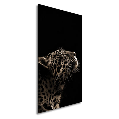 Leinwandbild Leopard im Licht – Stärke in stiller Kontur. - deyoli