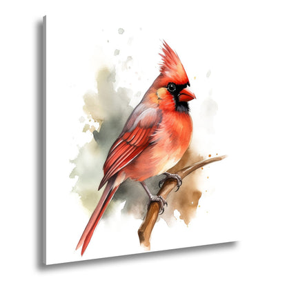 Leinwandbild Leuchtend roter Kardinal auf Ast in Aquarellstil - deyoli