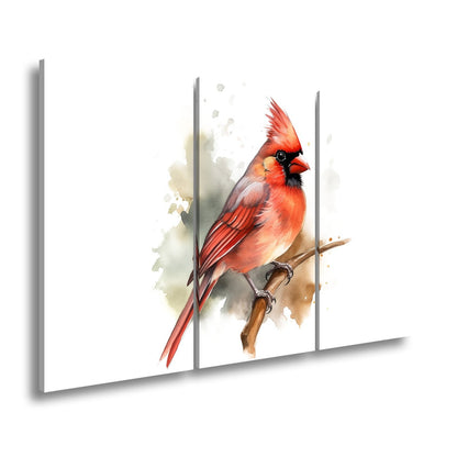 Leinwandbild Leuchtend roter Kardinal auf Ast in Aquarellstil - deyoli
