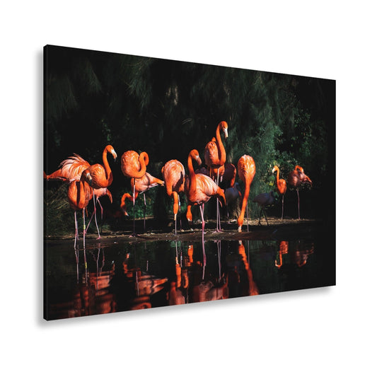 Leinwandbild Leuchtende Flamingos – Spiel aus Licht & Schatten XXL - deyoli