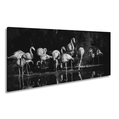 Leinwandbild Leuchtende Flamingos – Spiel aus Licht & Schatten XXL - deyoli