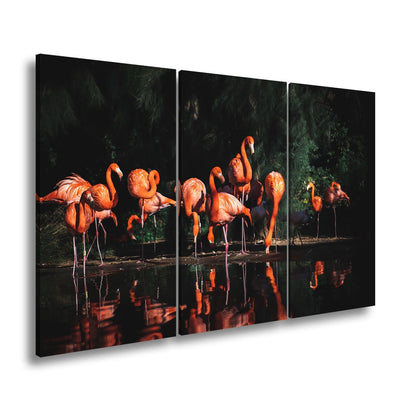 Leinwandbild Leuchtende Flamingos – Spiel aus Licht & Schatten XXL - deyoli